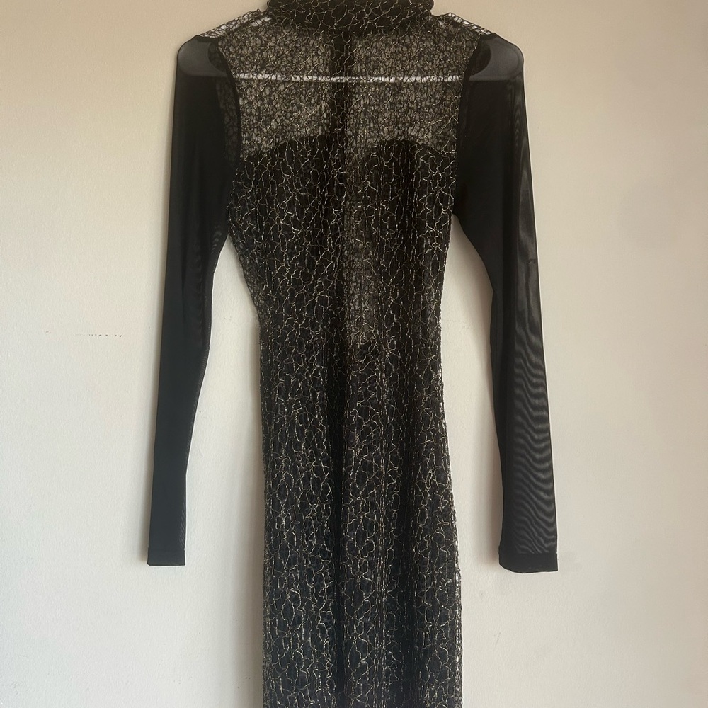 Elegant Black and Gold Sheer Dress